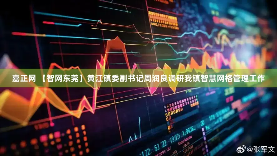 嘉正网 【智网东莞】黄江镇委副书记周润良调研我镇智慧网格管理工作